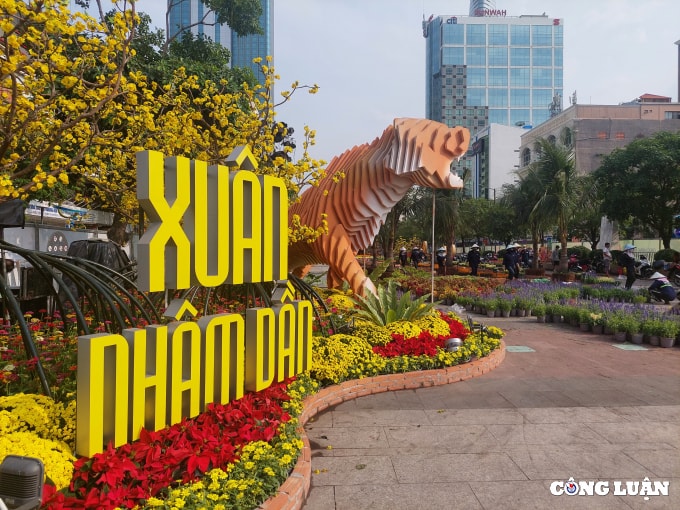 duong hoa nguyen hue 2022 dang dan lo dien hinh 1