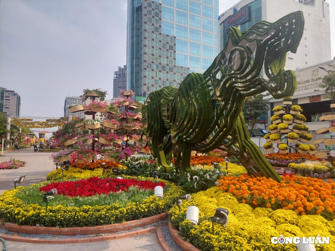 duong hoa nguyen hue 2022 dang dan lo dien hinh 2