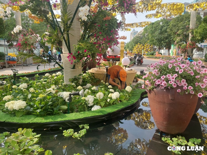 duong hoa nguyen hue 2022 dang dan lo dien hinh 6