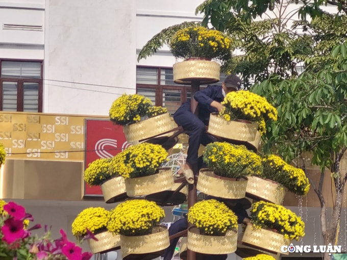 duong hoa nguyen hue 2022 dang dan lo dien hinh 7