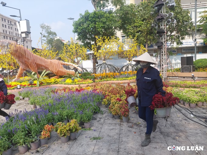 duong hoa nguyen hue 2022 dang dan lo dien hinh 8
