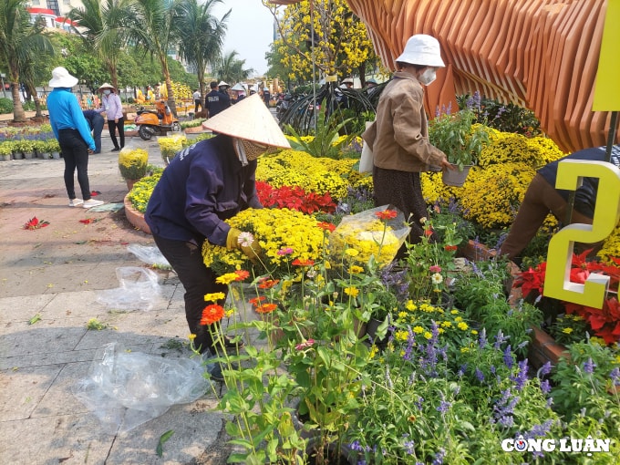 duong hoa nguyen hue 2022 dang dan lo dien hinh 9