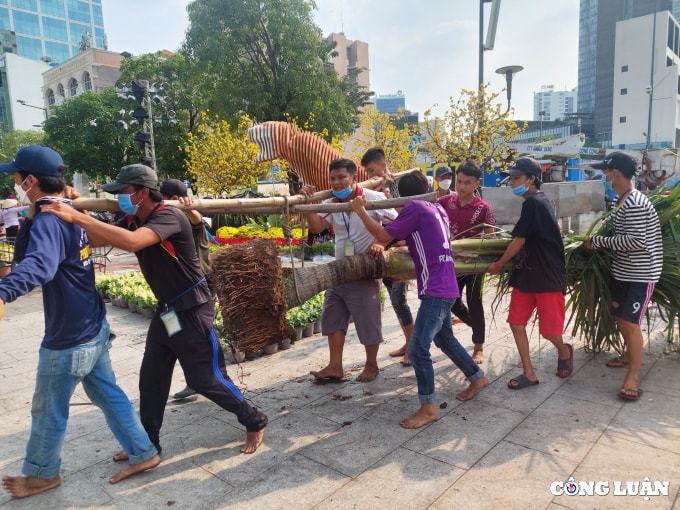 duong hoa nguyen hue 2022 dang dan lo dien hinh 10