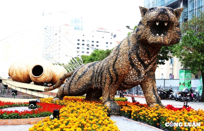 duong hoa nguyen hue 2022 dang dan lo dien hinh 3