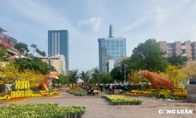 duong hoa nguyen hue 2022 dang dan lo dien hinh 11