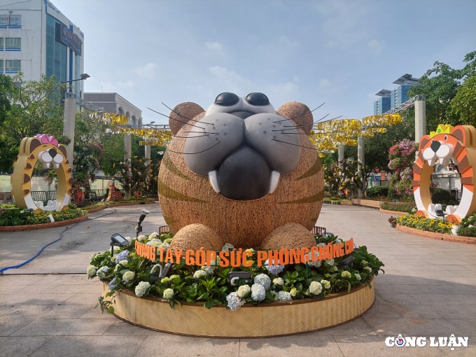 duong hoa nguyen hue 2022 dang dan lo dien hinh 4