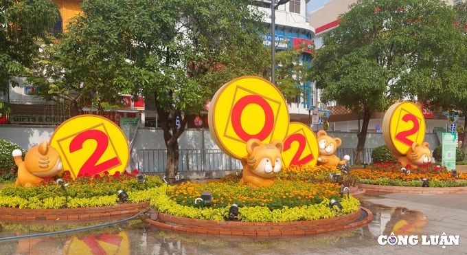 duong hoa nguyen hue 2022 dang dan lo dien hinh 5