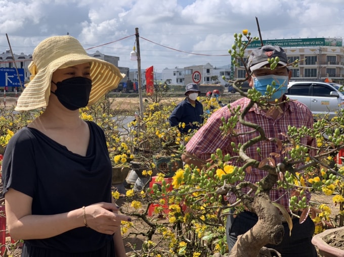 thu phu hoa mai vang duoc gia khan hang hinh 3