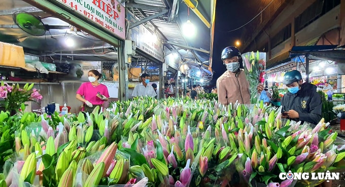 tat bat cho hoa dau moi thu duc ngay cuoi nam hinh 3