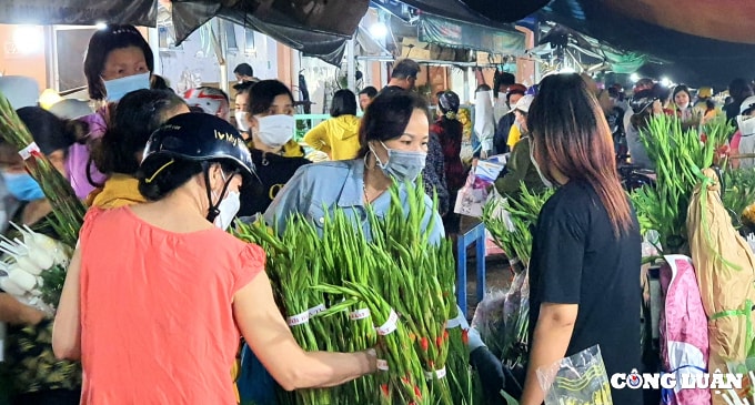 tat bat cho hoa dau moi thu duc ngay cuoi nam hinh 4