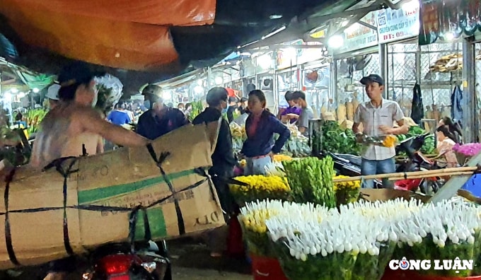 tat bat cho hoa dau moi thu duc ngay cuoi nam hinh 9