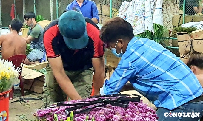 tat bat cho hoa dau moi thu duc ngay cuoi nam hinh 7