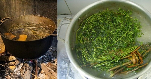 giai ma tuc tam nuoc la mui gia vao chieu 30 tet hinh 1