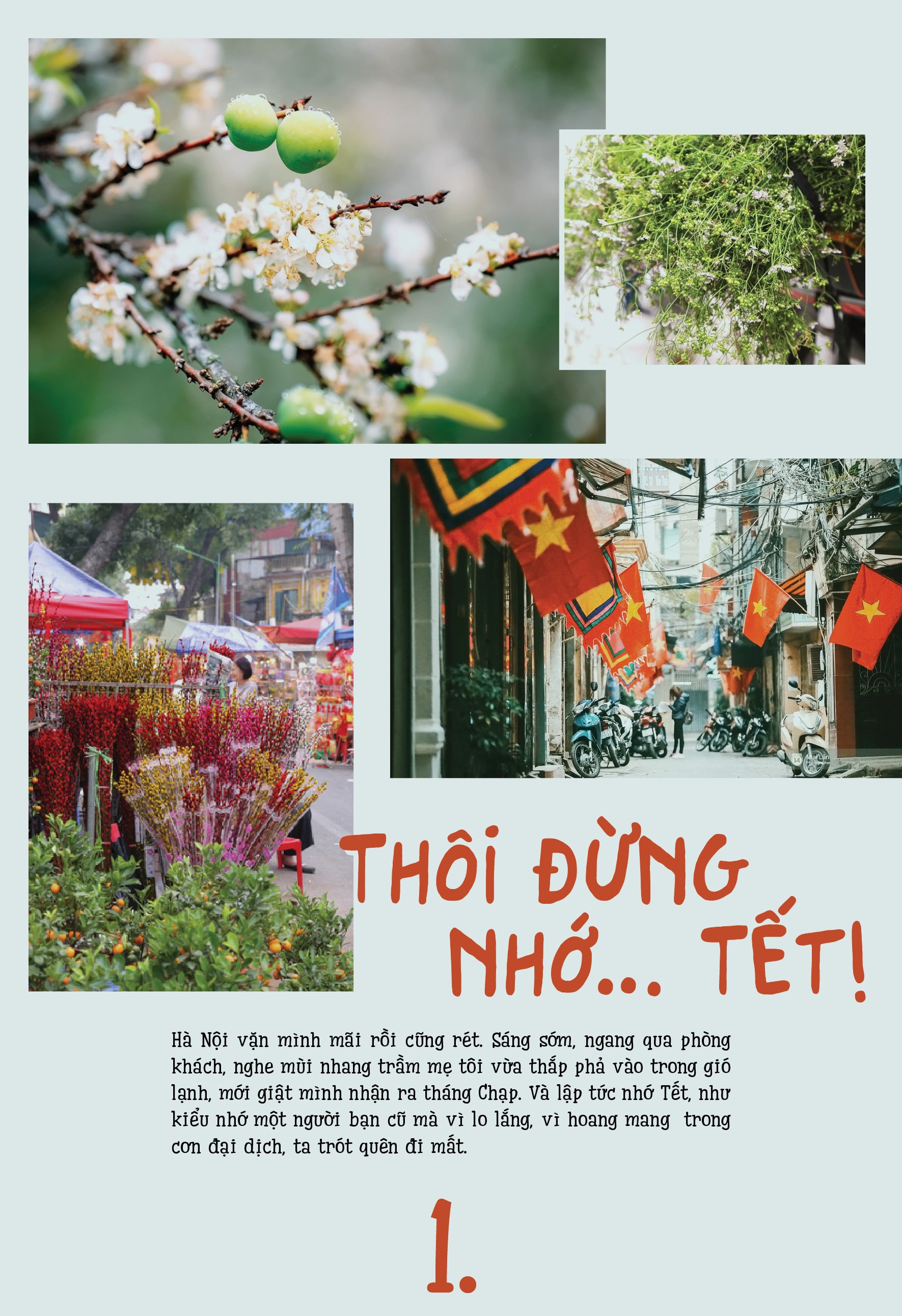 thoi dung nho tet hinh 1