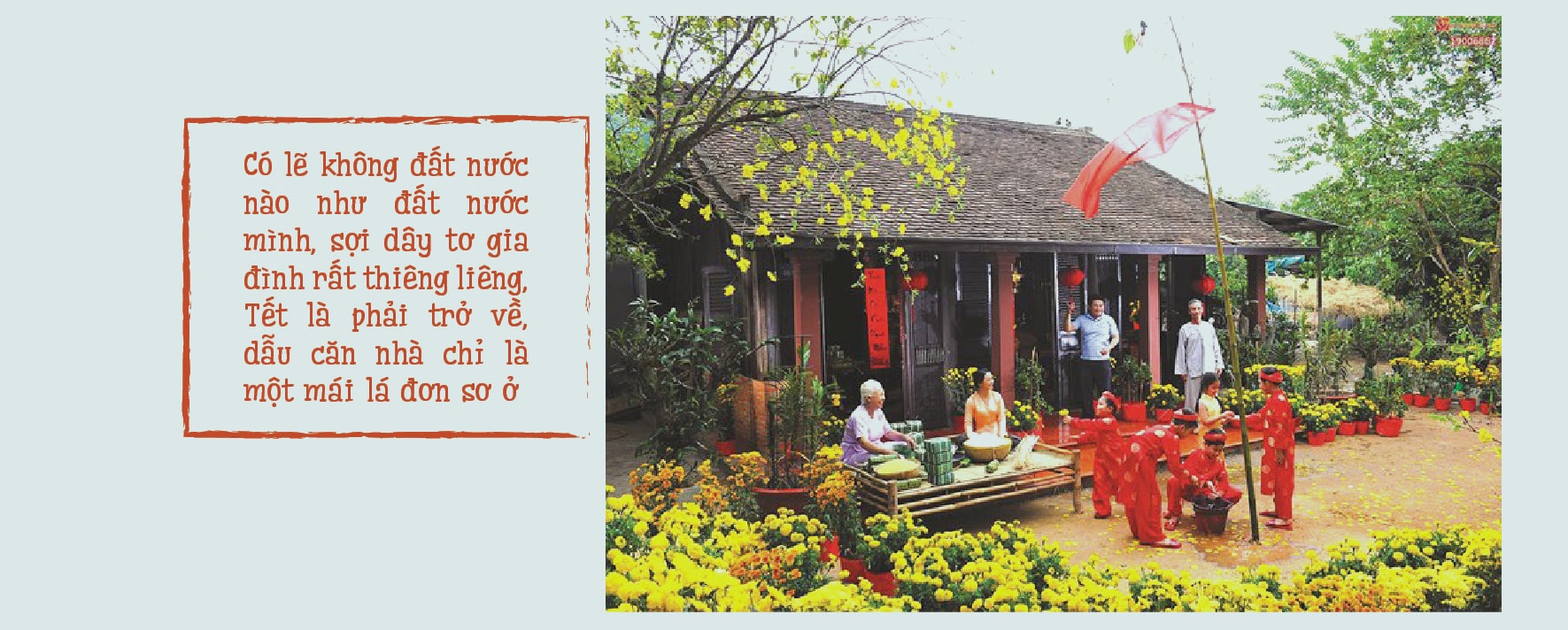 thoi dung nho tet hinh 8