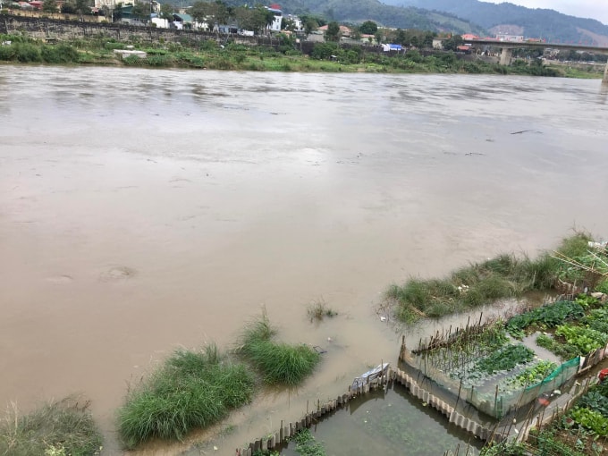 lao cai lu song hong bat ngo xuat hien sang mung 1 tet hinh 1
