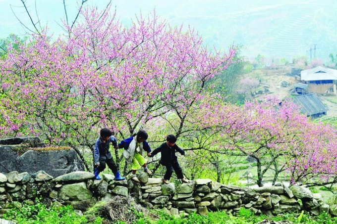 thoi tiet tet nguyen dan nham dan tu 2 6 2 2022 bac bo ret dam den mung 5 tet hinh 1