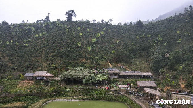 doc dao lop mai la co vung cao tay bac hinh 13