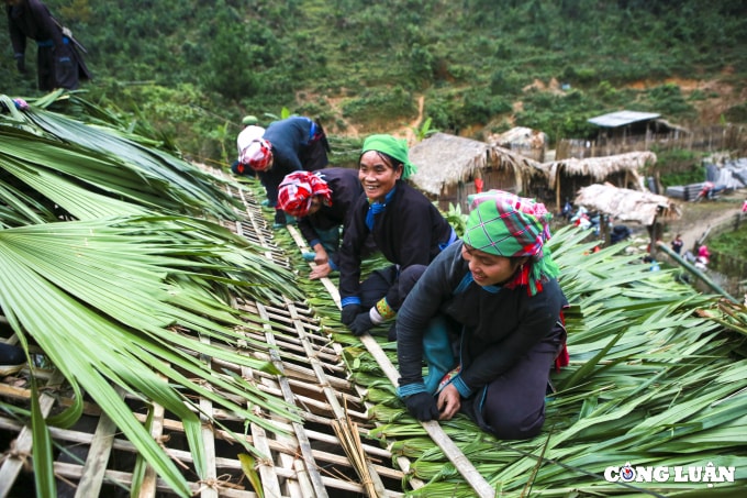 doc dao lop mai la co vung cao tay bac hinh 9