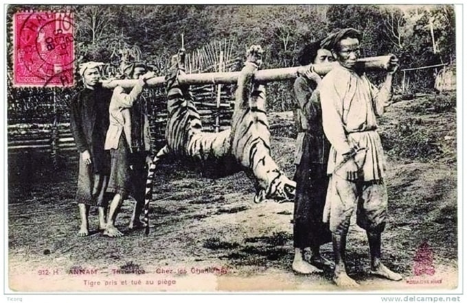 huyen thoai cop khanh hoa hinh 1