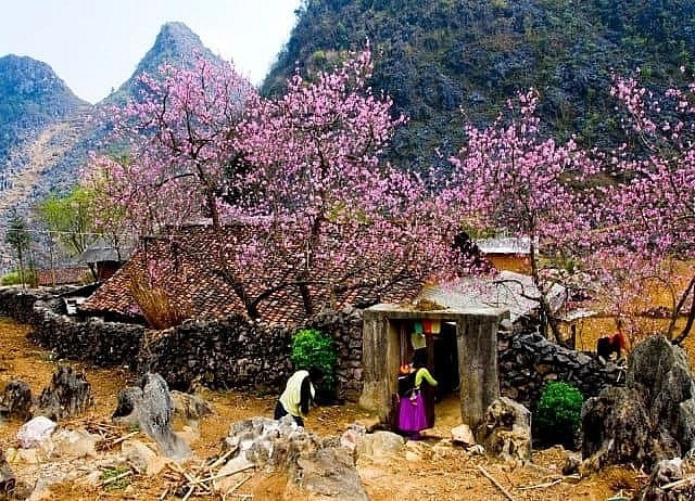 cao nguyen da dong van diem du lich dang di trong ngay xuan nham dan hinh 5