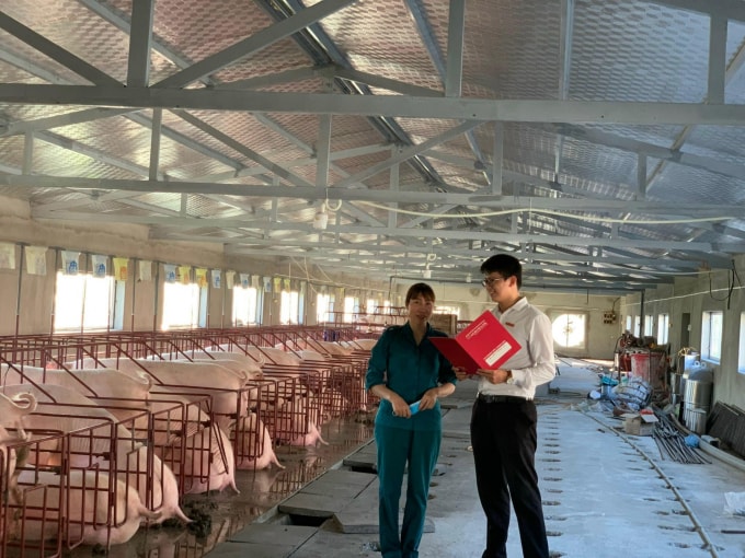 agribank duy tri tang truong tin dung thuc day phuc hoi nen kinh te hinh 3