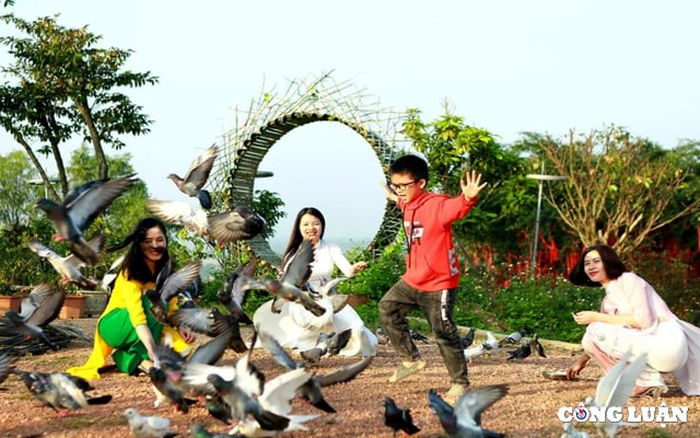 khu sinh thai da bac diem check in hut hon gioi tre ha tinh hinh 5