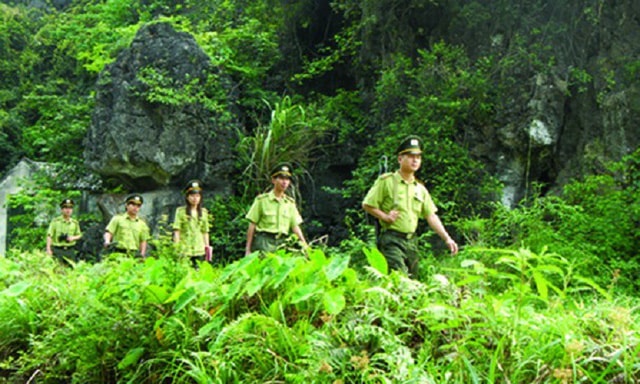 nang cao nang luc quan ly bao ve rung cho luc luong kiem lam hinh 1