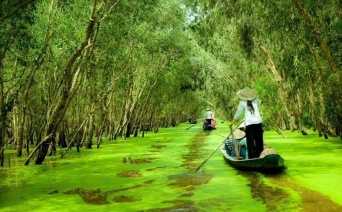 nhung khu rung nguyen sinh dep me man tai viet nam hinh 4