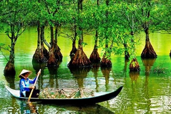 nhung khu rung nguyen sinh dep me man tai viet nam hinh 7