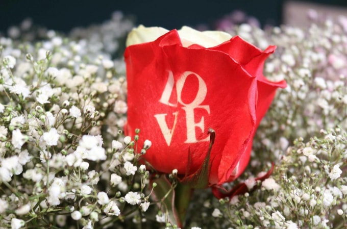 qua hai trong mot hoa hong ket hop chocolate tien trieu hut khach dip valentine hinh 2