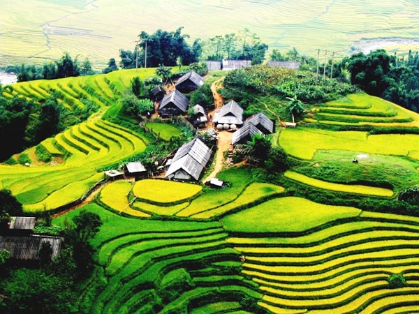 nhung cao nguyen dep nhat viet nam den mot lan la nho hinh 7