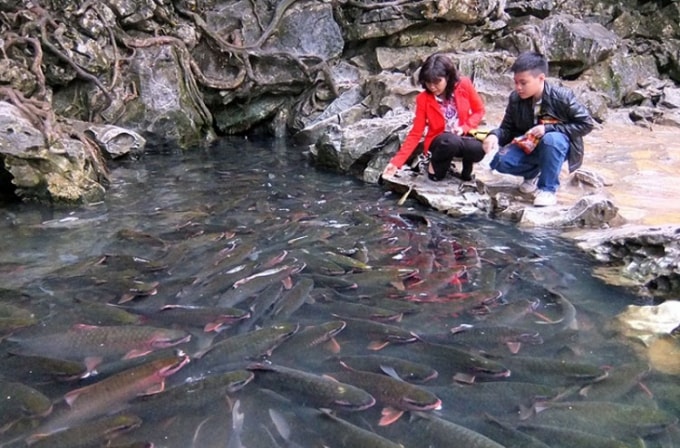 nhung con suoi dep nhat o viet nam chi ngam da me hinh 9