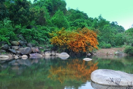 nhung con suoi dep nhat o viet nam chi ngam da me hinh 10