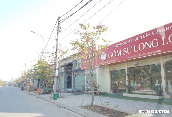 bai 2 dat cay xanh bi bien tuong ubnd huyen gia lam hop thuc hoa sai pham nhu the nao hinh 1