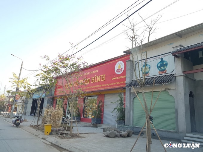 bai 2 dat cay xanh bi bien tuong ubnd huyen gia lam hop thuc hoa sai pham nhu the nao hinh 2