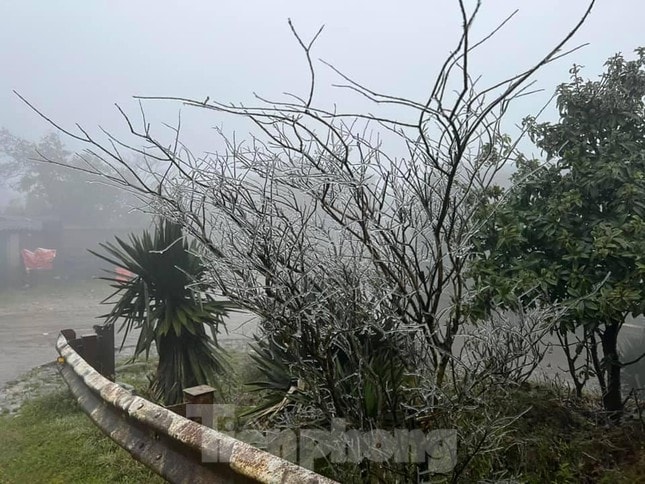 bang gia phu trang tren dinh phja oac mau son xuong duoi 0 do c hinh 2