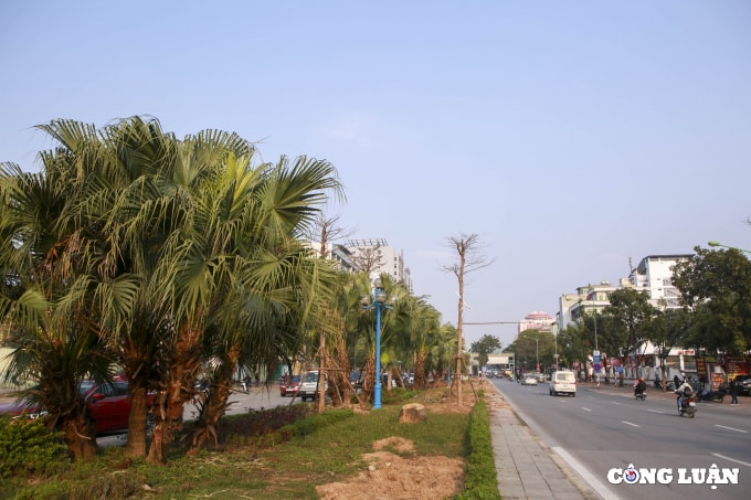 ha noi mo rong duong hoang quoc viet len 8 lan xe hinh 10