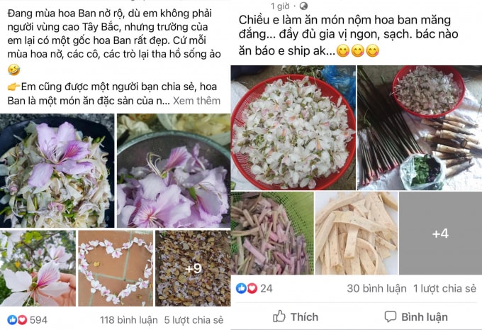 hoa ban rung xuong pho gia 150000 dong kg van hut khach hinh 3