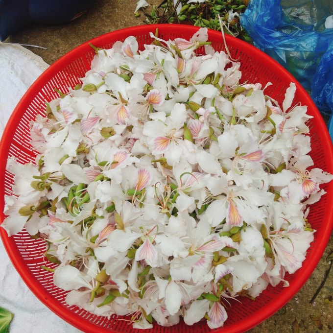 hoa ban rung xuong pho gia 150000 dong kg van hut khach hinh 1