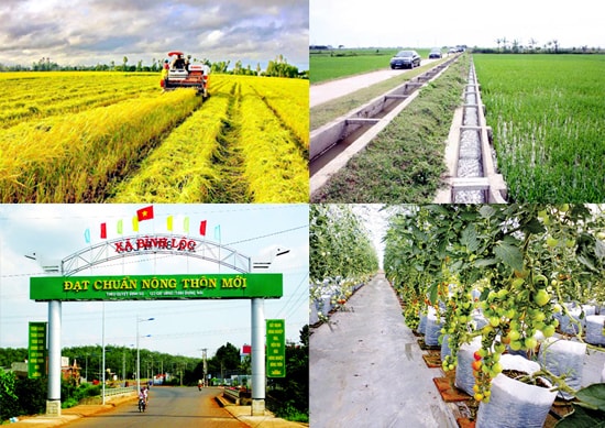 tinh co it nhat 40 so xa dat chuan de hoan thanh nhiem vu xay dung nong thon moi hinh 1