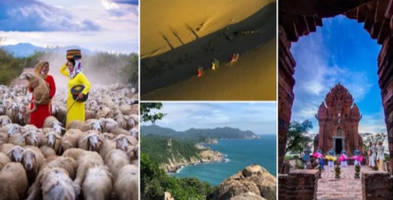 phat dong cuoc thi anh ton vinh net dep di san cua ninh thuan hinh 1