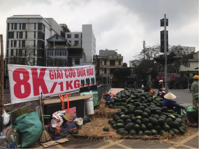 tiep tuc chuoi giai cuu dua hau nhung nguoi dan da het man ma hinh 1