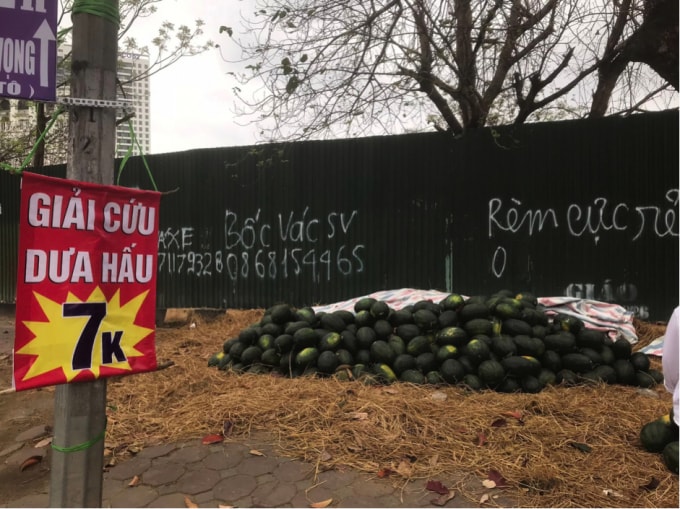 tiep tuc chuoi giai cuu dua hau nhung nguoi dan da het man ma hinh 2
