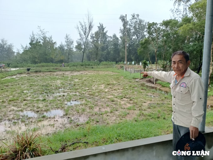 huyen cam xuyen ha tinh yeu cau xa yen hoa giai quyet dut diem vu viec hinh 2