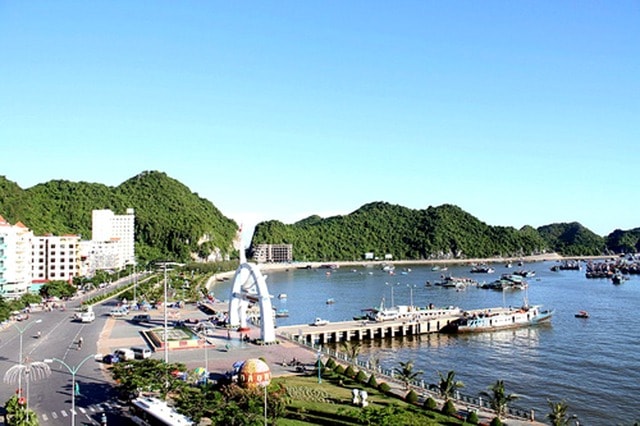 le hoi hoa phuong do tp hai phong nam 2022 co gi moi hinh 2
