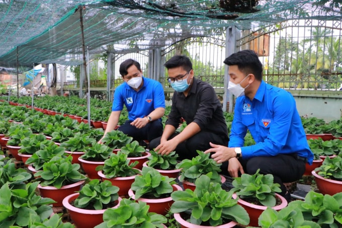 ngay hoi khoi nghiep quoc gia cua hoc sinh sinh vien lan thu iv se dien ra tai vinh phuc hinh 1