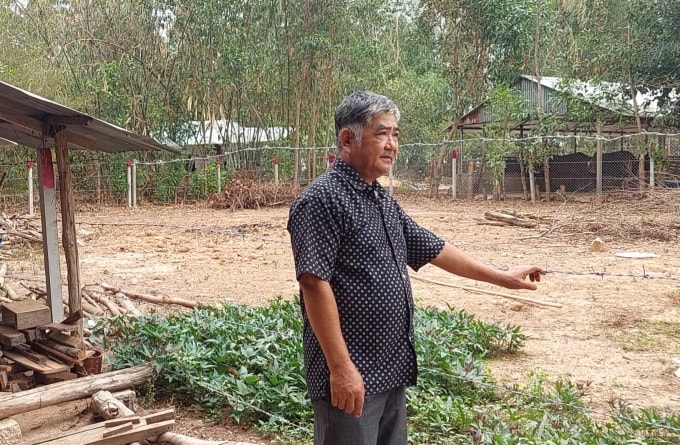 phep vua thua le lang trong xac nhan nguon goc dat o dong nai hinh 1