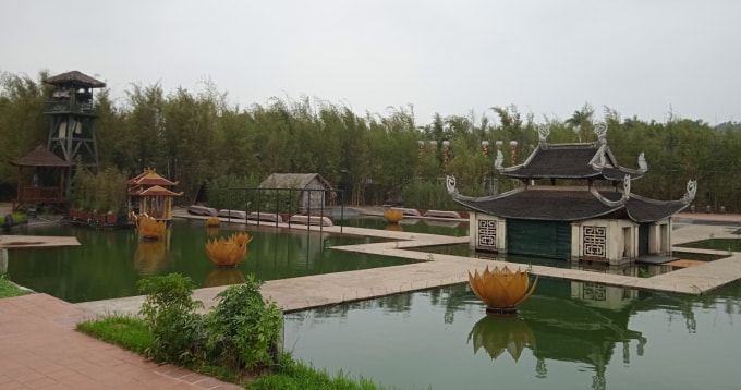 tinh hoa bac bo tro lai co loi hai hon xua hinh 1