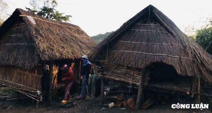 nguoc doi canh giao vien bang rung bat tro toi truong o gia lai hinh 1